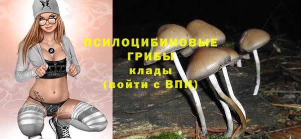 а пвп мука Пересвет