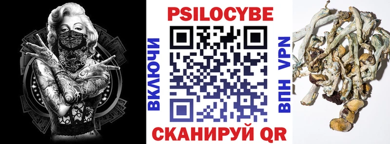 Галлюциногенные грибы мухоморы  сколько стоит  Курганинск 
