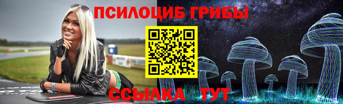 Курганинск  Псилоцибиновые грибы GOLDEN TEACHER  Вход с VPN 
