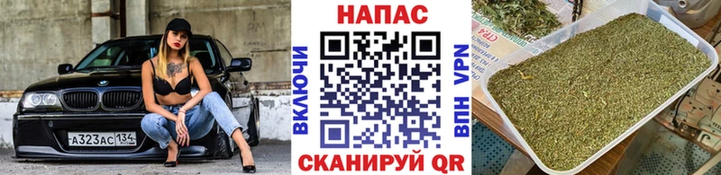 Бошки Шишки конопля  как найти   блэк спрут сайт  Курганинск 